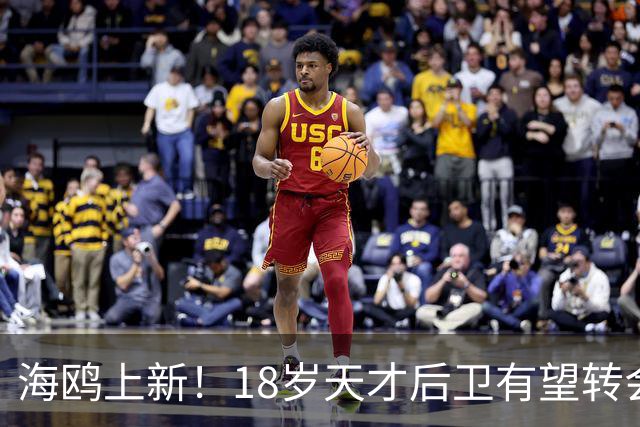 海鸥上新！18岁天才后卫有望转会英格兰，天赋顶级布莱顿要买